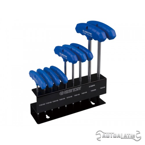Set T torx ključeva od 9 komada T10-T50 21309PR
